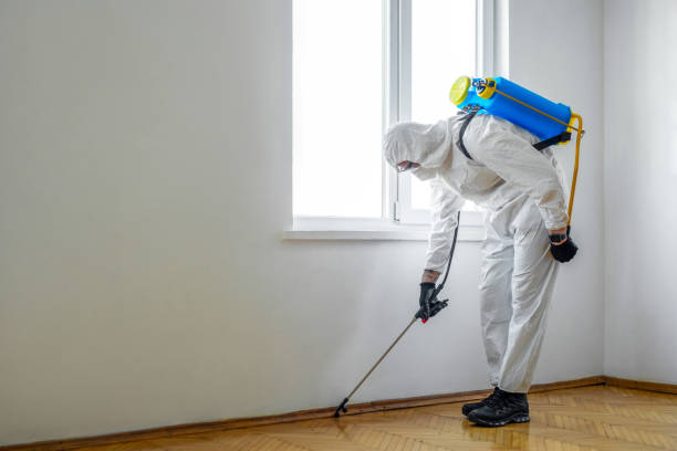 Professional Pest Control in Stockton University, NJ